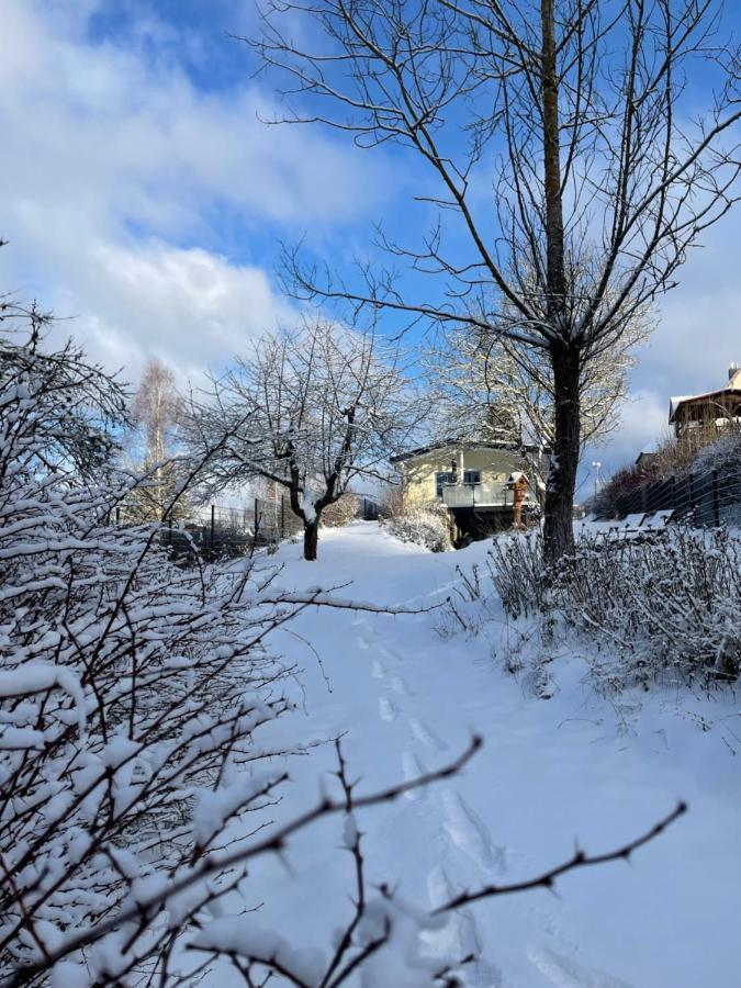 Bergchalet Loewenzahn Holiday home Benshausen