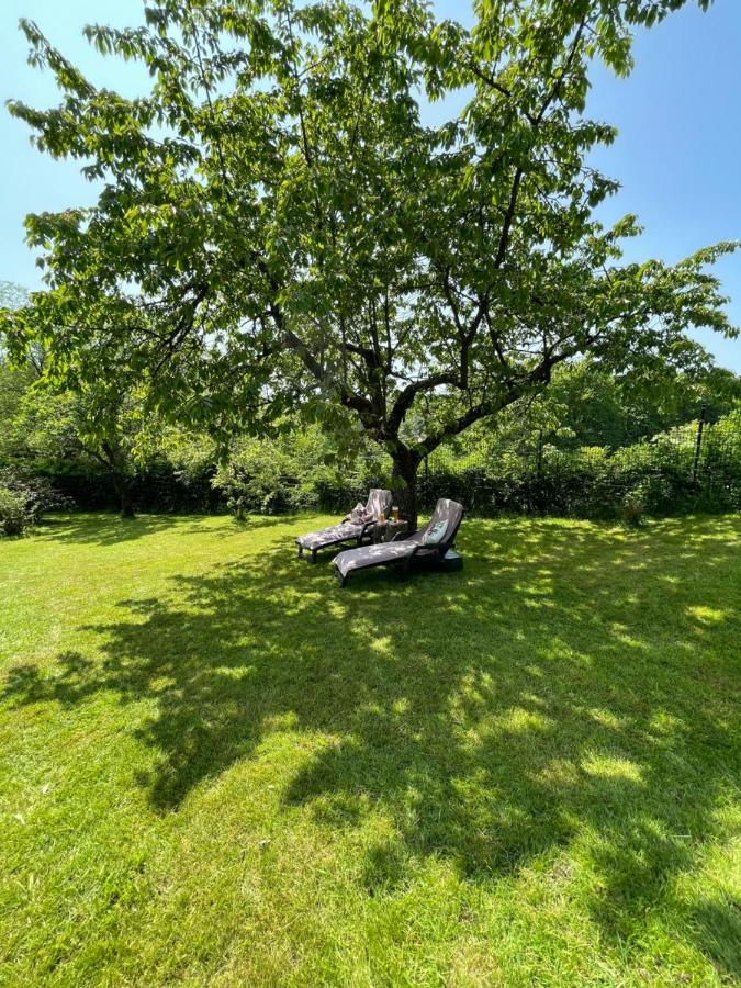 Holiday home Bergchalet Loewenzahn Benshausen
