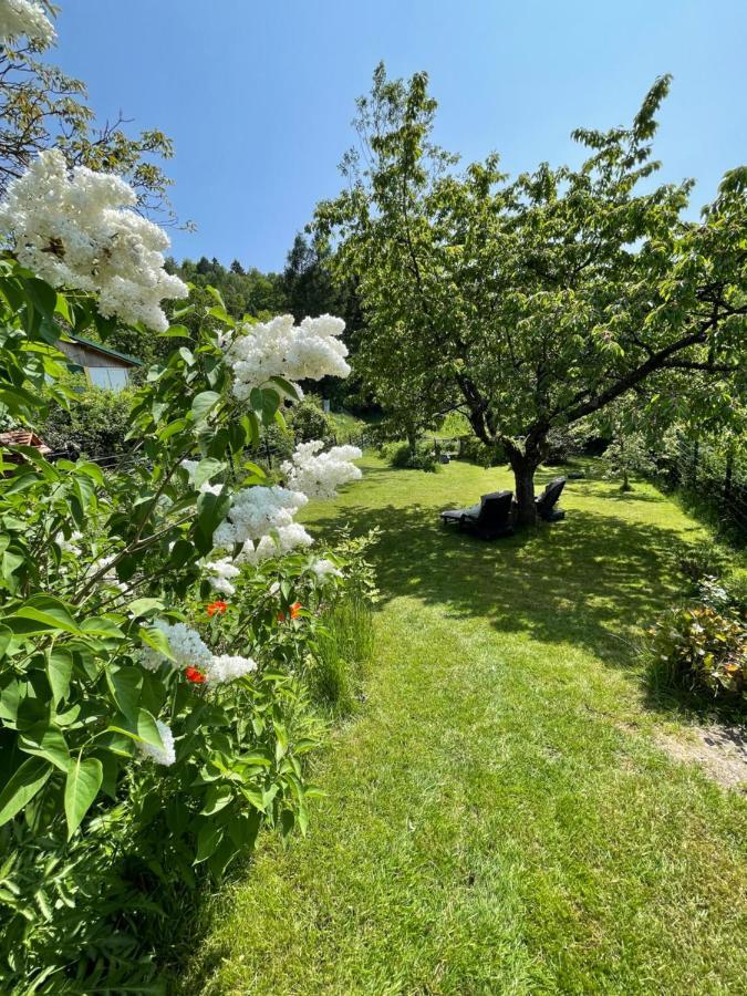 Bergchalet Loewenzahn Holiday home